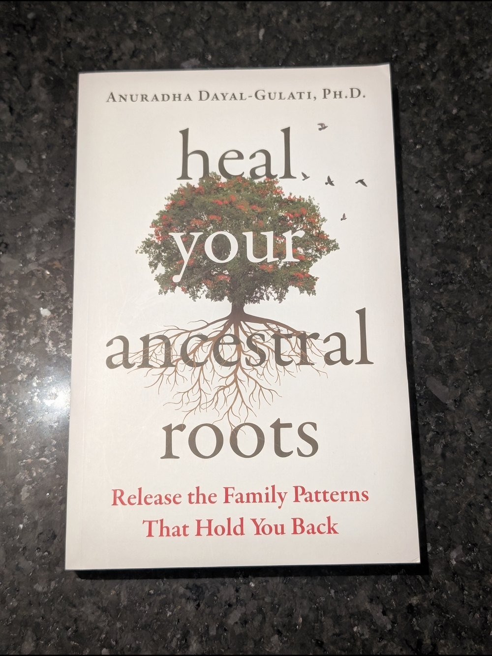 Heal Your Ancestral Roots Paperback Book